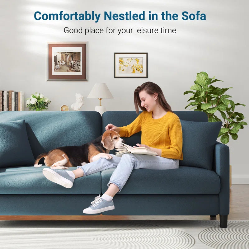 Modern 193Cm Teddy 3-Seater Sofa with Square Armrests and Two Throw Pillows