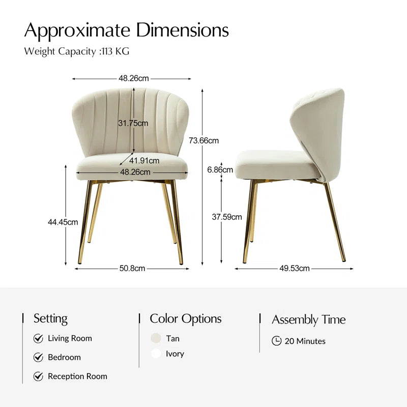 Daulton Modern Velvet Tub Chair with Channel Tufted Back and Metal Legs